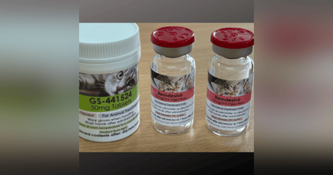 FIP Update: Everything you need to know about Remdesivir, with Dr Sally Coggins FIP Update: Everything you need to know about Remdesivir, with Dr Sally Coggins