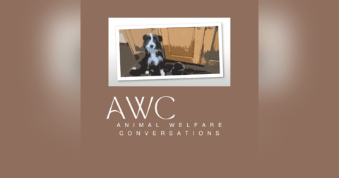 Animal Welfare Conversations Animal Welfare Conversations
