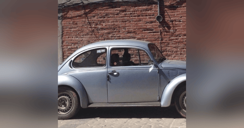 Historias de Miedo Febrero 15 de 2022 SUEÑOS RAROS Y APARICIONES EN EL CIELO Historias de Miedo Febrero 15 de 2022 SUEÑOS RAROS Y APARICIONES EN EL CIELO