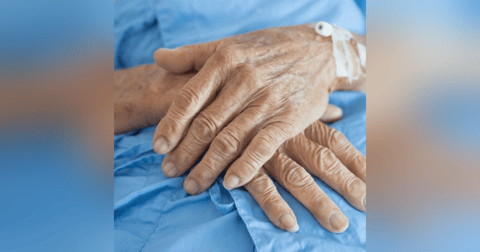 Historias de Miedo Julio 6 de 2023 VI A MI PADRE Historias de Miedo Julio 6 de 2023 VI A MI PADRE