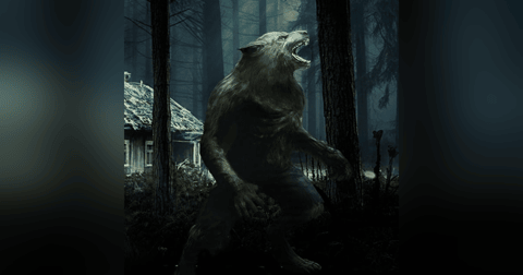 Venganza Historias De Terror - REDE Venganza Historias De Terror - REDE