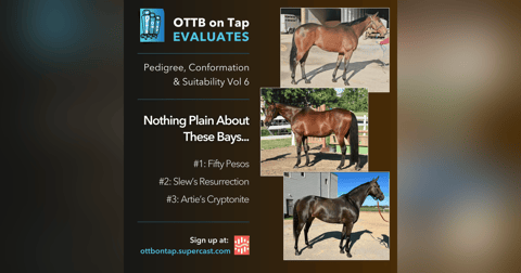Preview: OTTB on Tap Evaluates Vol 6: Nothing Plain About These Bays! Preview: OTTB on Tap Evaluates Vol 6: Nothing Plain About These Bays!