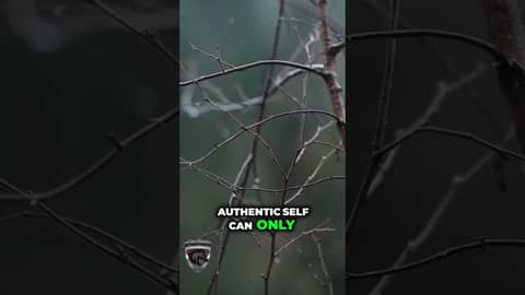 Stop the corporate lie: Your best ideas need quiet. Stop the corporate lie: Your best ideas need quiet.