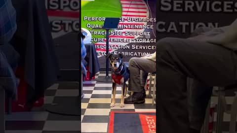 Break the Pattern Today