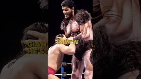 The Tallest WWE Superstars Ever!