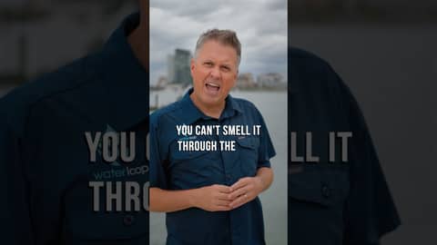 Why Is Baltimore's Water Bright Green?