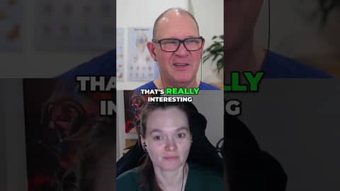 Bone Marrow Transplants: Transforming Blood Types Explained Bone Marrow Transplants: Transforming Blood Types Explained