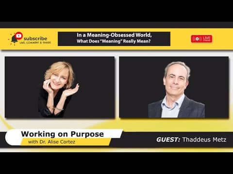 In a Meaning-Obsessed World, What Does “Meaning” Really Mean?