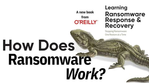 How Ransomware Works: Cybersecurity Expert Breaks Down the Process How Ransomware Works: Cybersecurity Expert Breaks Down the Process