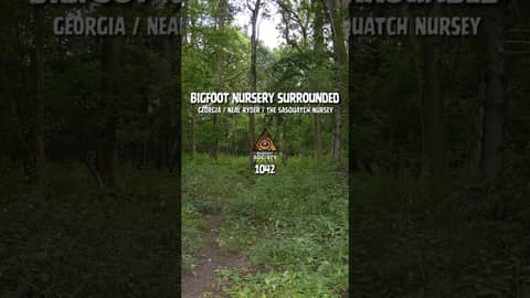 Neal Ryder from bigfoottalk.com is back! Find out why the Bigfoot Nursery may be in danger... Listen