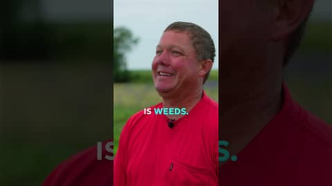 Iowa Farms Turn Stagnant Swamps to Profitable Pastures with Oxbow Restoration