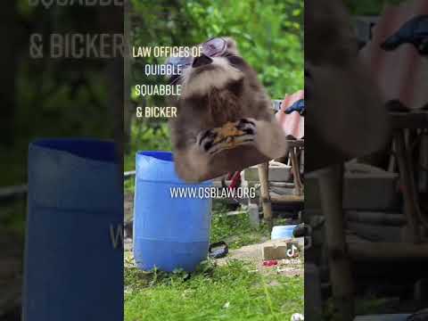 TikTok: S1: Our Twenty-Third Client - Aging Is Fun But Hard On The Knees