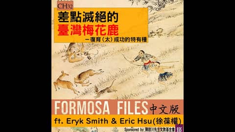 FORMOSA FILES 中文版 CH32-差點滅絕的臺灣梅花鹿—復育（太）成功的特有種