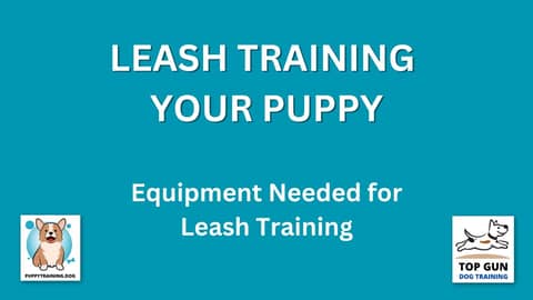Part 7  - Leash Training Equipment