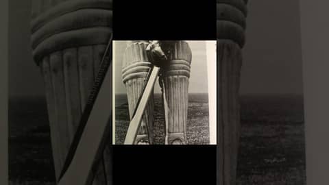 Nothing quite as attractive as a quality forward defensive stroke. 🏏