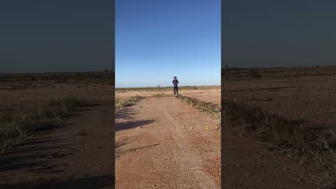 Setting a field is imperative for when the leg spinner drops short.