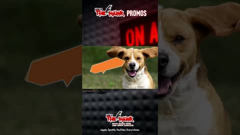 Buckcherry! Lit! Live at the Val Verde Dog Pound!