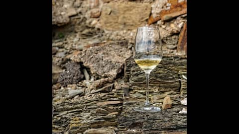 Episode 92-Minerality, Winery Instagrams