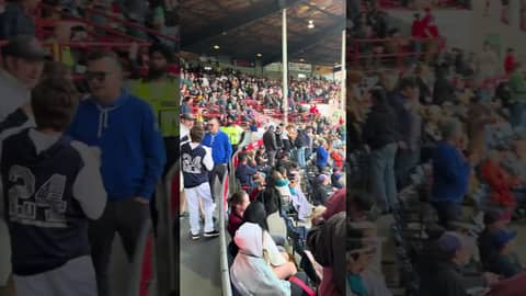 Take Me Out To The Ball Game at Nat Bailey Stadium's Dog Day