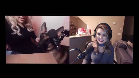 I LOVE German Shepard puppies! Charlie's debut on EWU!