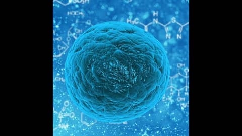 Every Measles Death Is Too Many