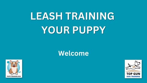 Part 1  - Welcome Video