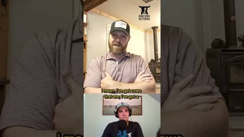 Episode 242 with Noah Eubanks #cattlebusiness #business #ranching #ranch #cattle