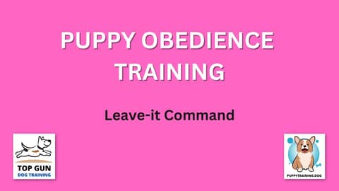 Part 18 - Leave It Command