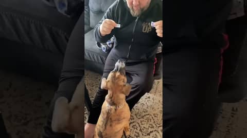 Ziggy Starpup picks the winner of 2022/23 #nfl playoff game  #newyorkgiants & #philadelphiaeagles