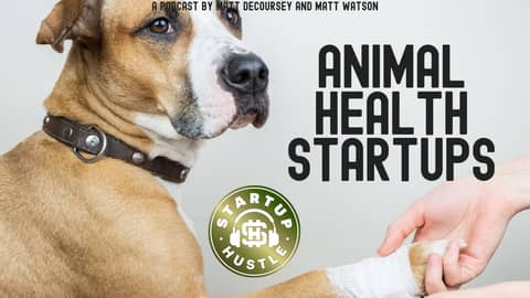 Animal Health Startups Animal Health Startups