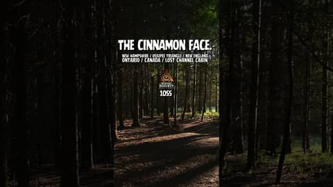 A New Hampshire hunter follows 17-inch tracks across remote bogs… and they stop in the middle of A New Hampshire hunter follows 17-inch tracks across remote bogs… and they stop in the middle of