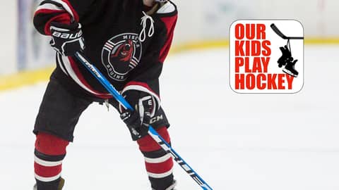 Our Kids Play Hockey: A Season In Review