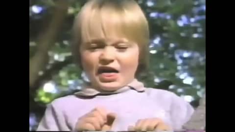 Rocks and Bugs and Thinks commercial (1985)