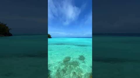 Bermuda Island Life 😎 Bermuda Island Life 😎