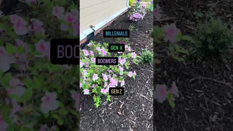 Which generation do you think has it the toughest? #weeklywealthpodcast #millenial #genx #genz