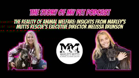 The Reality of Animal Welfare: Insights from Marley's Mutts Dog Rescue