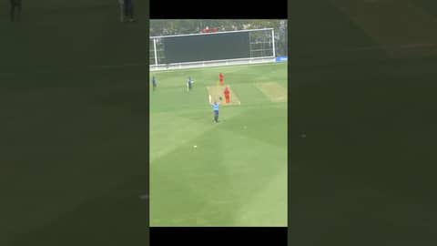 Tahlia Wilson peeled an exquisite hundred in the final WNCL match of the season at Cricket Central