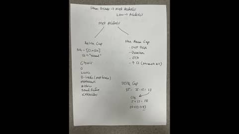 ICU Lecture Series: Acid Base Disorders