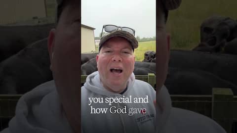 Are your finances stuck? #financiallyconfidentchristian #cows #cowshorts #financialfreedom