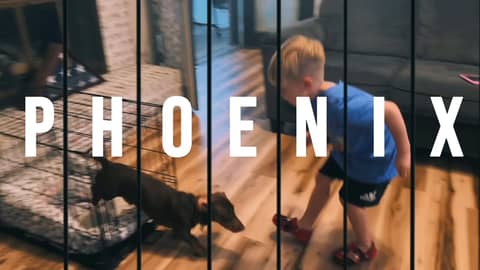 Phoenix Day with Mrs. Brown’s Bears! 🐻