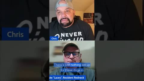 The Hidden Cost of Retiring Working Dogs