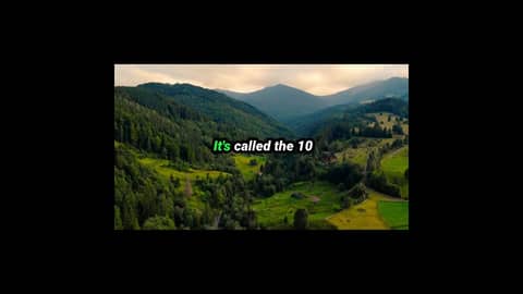 Do you have a vision for your wealth?