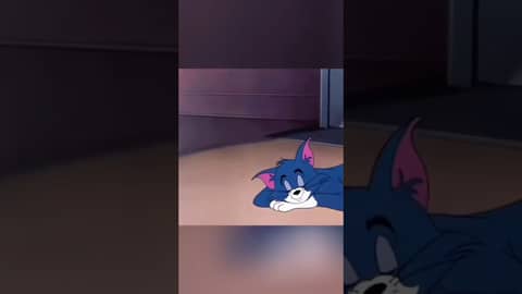 Who is the mystery player on the SCG Scoreboard?