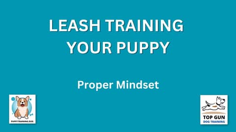 Part 10 - Proper Mindset