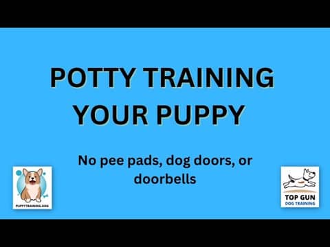 Part 11 - DO NOT USE: Pee pads, Baby Gates, Doorbells