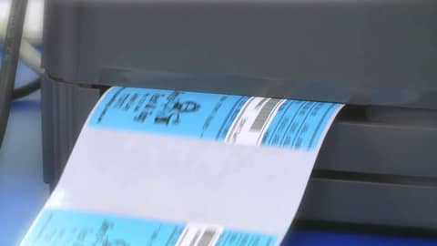 First Women of Test and Tag