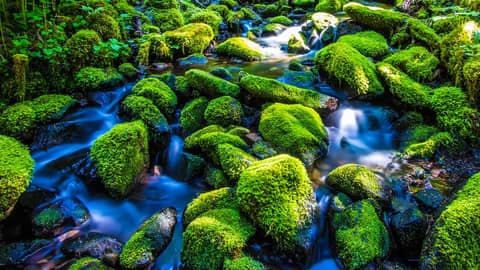 Relaxing Water Sounds for Sleep, Stress Relief, Focus | Mountain Stream White Noise 10 Hours