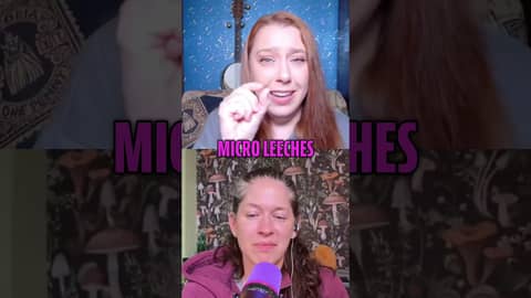 Why Were the Leeches SO HUGE?! 😂 | Stand By Me