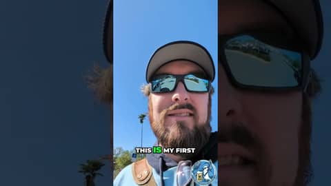 Blue Jays 50th Anniversary Celebration in Dunedin, Florida! #shorts