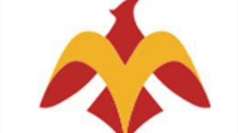 Episode 7 - Phoenix Concussion Recovery Podcast (ACRM presentation preview) Episode 7 - Phoenix Concussion Recovery Podcast (ACRM presentation preview)